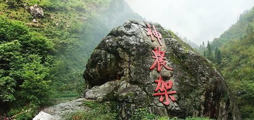 与其苟且偷生，毋宁高贵赴死！被司马昭刺死街头的曹髦是个什么人